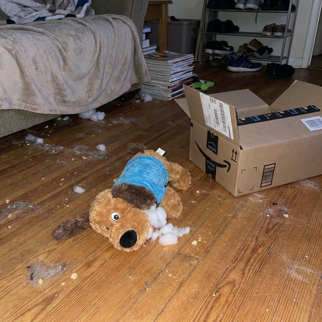 Before: raw Pet Supplies product